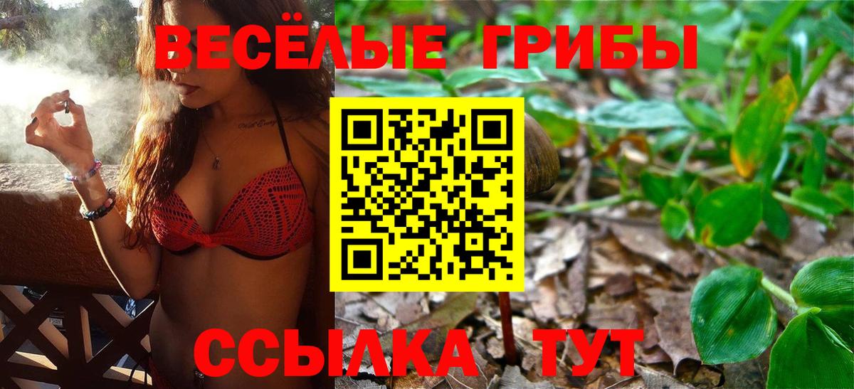 Псилоцибиновые грибы Cubensis Сафоново