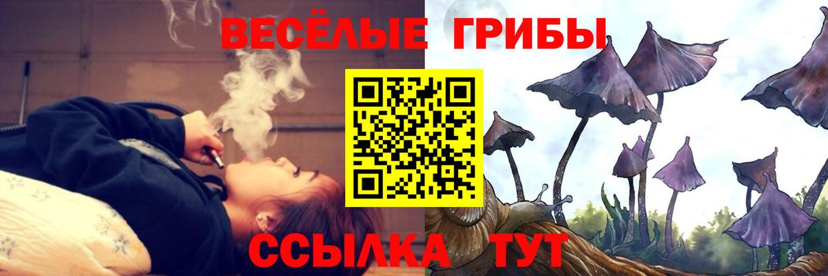 Галлюциногенные грибы мицелий  Вход с VPN  Сафоново  Псилоцибиновые грибы Psilocybe 